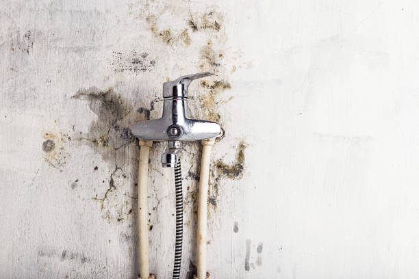 Best Water Damage Restoration  in Las Palmas Ii, TX